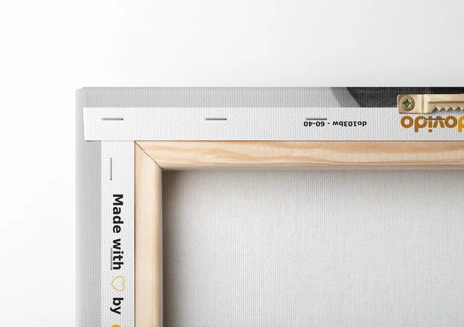 Quadro su tela – Foglia di monstera in bianco e nero