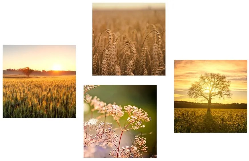 Set di quadri – Campo al tramonto