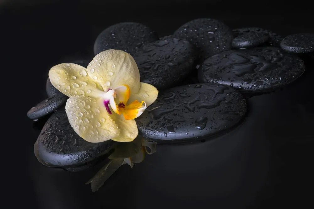 Carta da parati – Pietre Zen con orchidea gialla