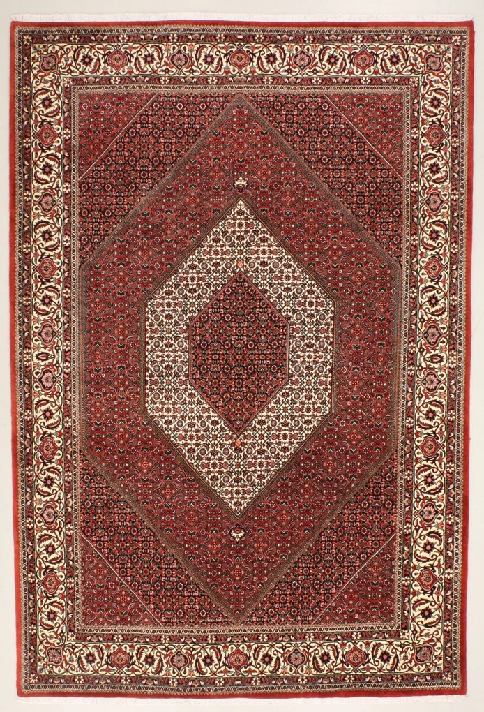 Bidjar Tappeto 300x200 (Iran) Annodato A Mano
