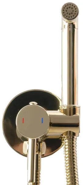 REA-B8979 - Miscelatore per bidet con doccetta per installazione ad incasso LUNGO oro