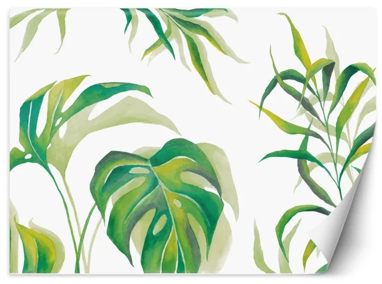 Carta Da Parati, Monstera Foglia Piante Verde  Dimensioni 100x70, Finitura Carta da Parati Autoadesiva, Tipo di Carta da Parati Fliselina