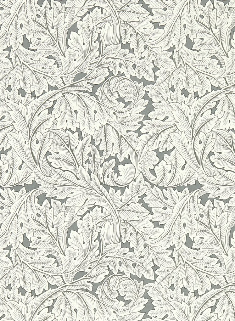 Clarke & Clarke Carta da parati Acanthus - Slate