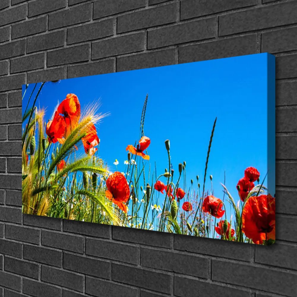 Stampa quadro su tela Papaveri Fiori Campo Di Erba 100x50 cm