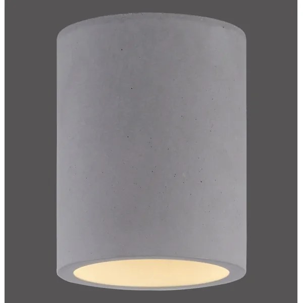 Paul Neuhaus 6160-22 - Faretto ETON 1xGU10/10W/230V