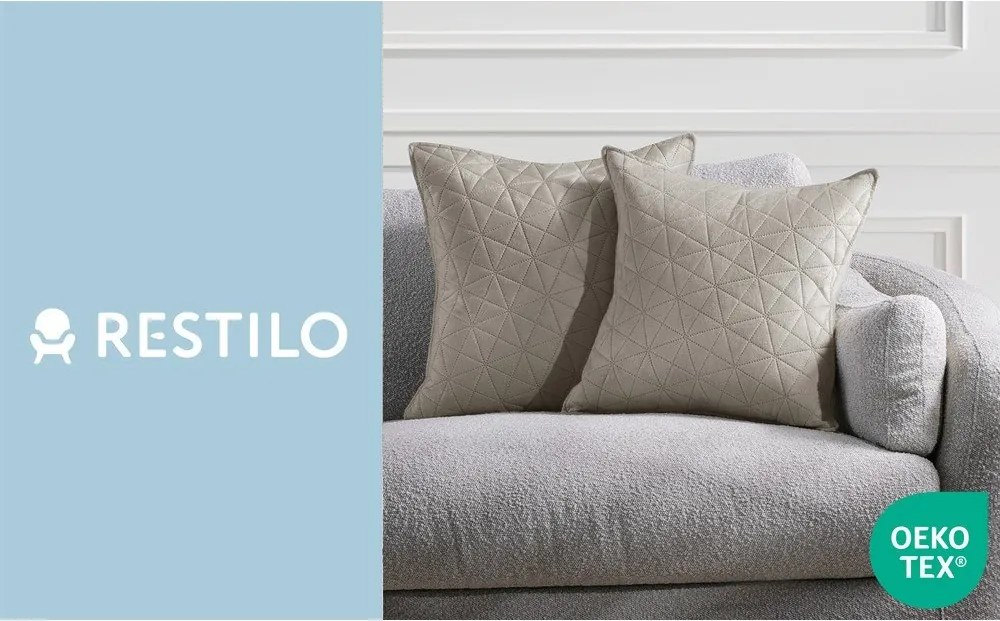 Federe decorative in set in velluto 2 pz 45x45 cm Laila – Restilo