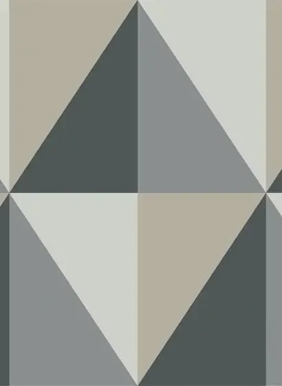 Tapete Apex Grand von Cole & Son - Grey & Black