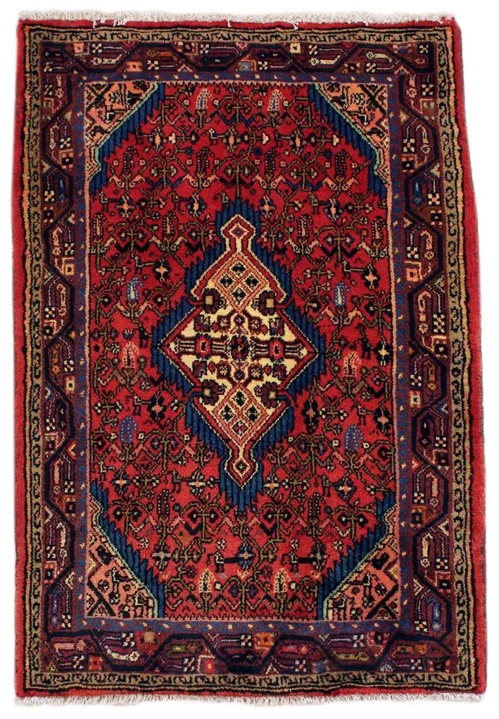 Hamedan Tappeto 80x120 (Iran)