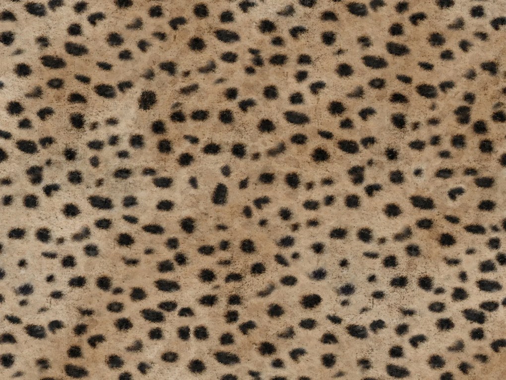 Wild cuscino in collezione Wild in microfibra impermeabile leopardo