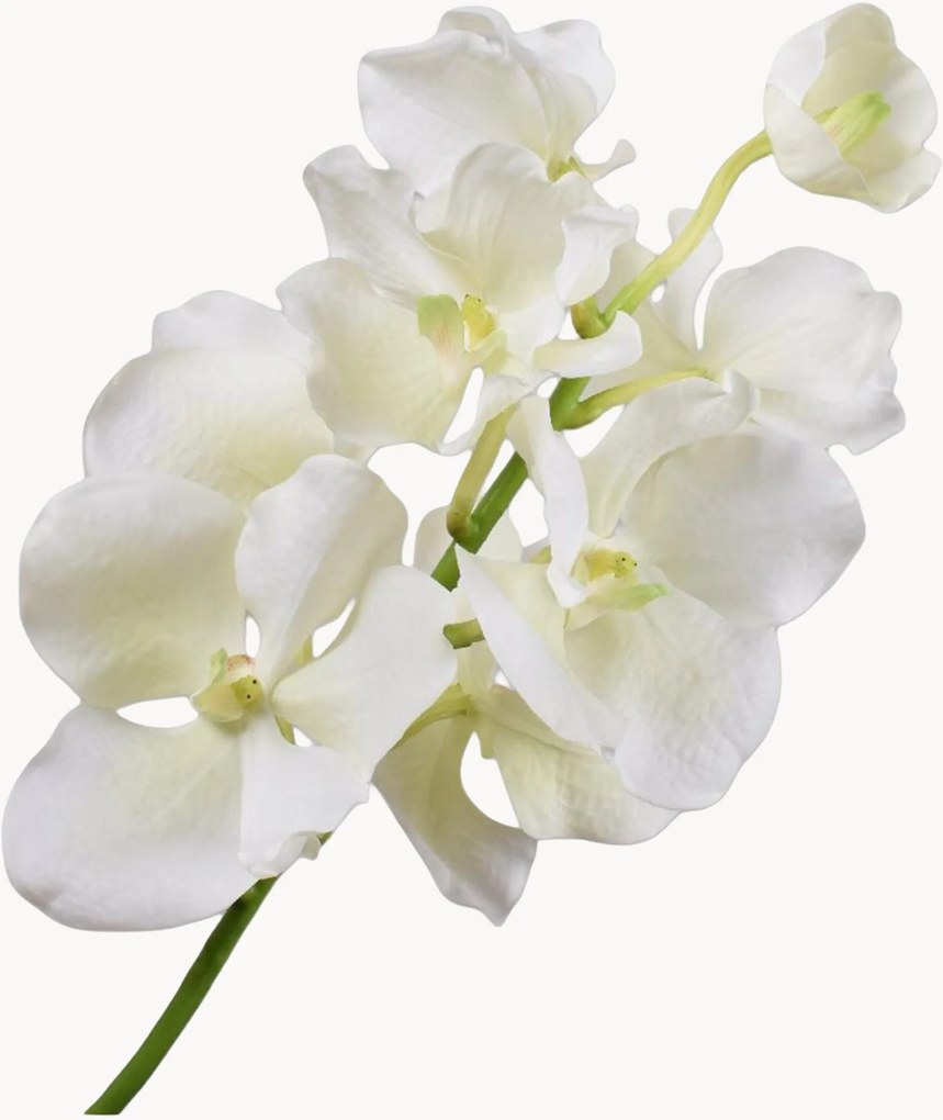 Set di 2 fiori artificiali Vanda