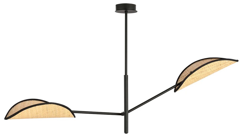 Lampadario 2 Luci Eridano In Acciao Nero E Rattan Con Bracci Mobili