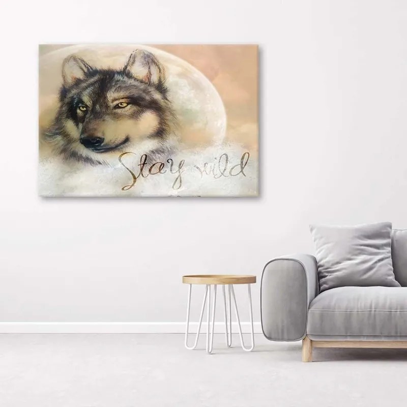 Quadro su tela, Lupo animale natura beige  Dimensioni 120x80