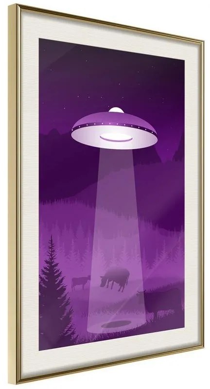 Poster  Flying Saucer  Cornice Quadri Cornice d'oro con passe-partout, Larghezza x Altezza Home decor 40x60