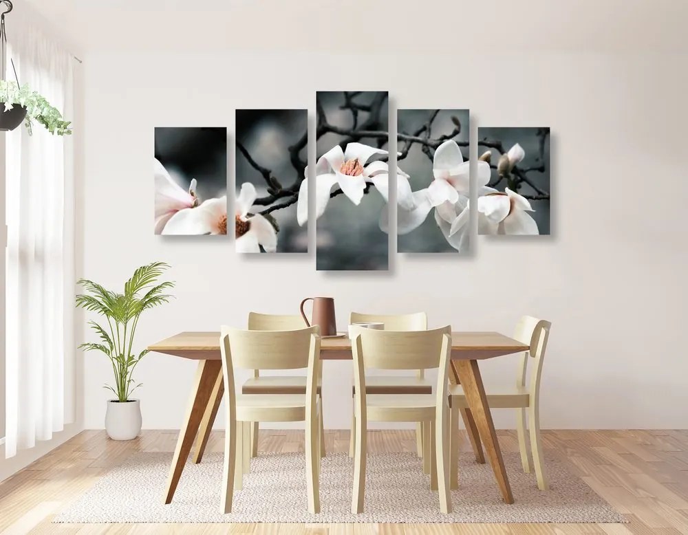 Quadri 5 pezzi – Magnolia che si sveglia