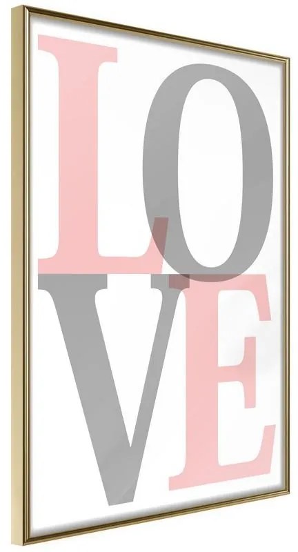 Poster  GreyPink Love  Cornice Quadri Cornice d'oro, Larghezza x Altezza Home decor 30x45