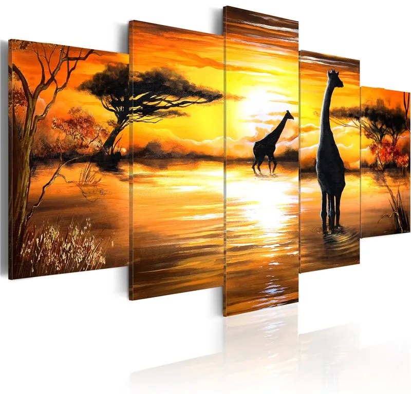 Quadro Giraffe all'abbeverata  Colore Giallo, Dimensioni e Misure 100x50