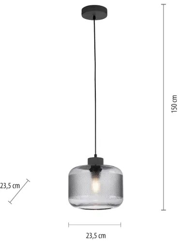 Paul Neuhaus 2005-25 - Lampadario a sospensione con filo BOLETUS 1xE27/10W/230V diametro 23,5 cm grigio