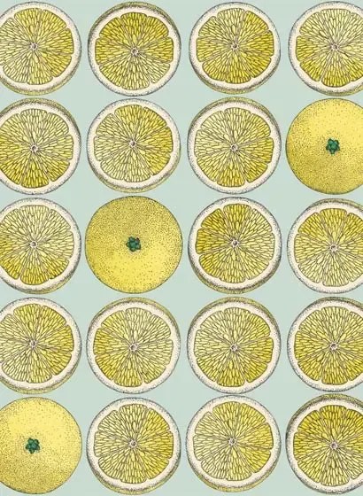 Fornasetti Früchte-Tapete Arance von Cole and Son - Lemon