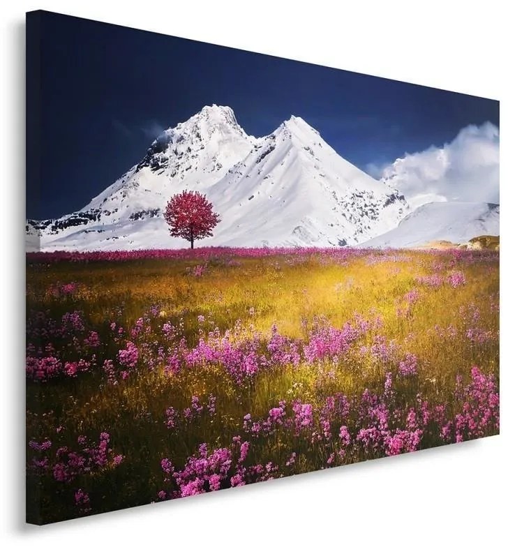 Quadro su tela, Montagna Paesaggio Natura  Dimensioni 100x70