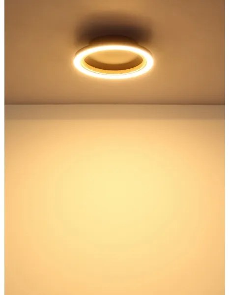 Globo 67356D - Plafoniera LED DAKARI I, 12 W, 230 V, 3000 K, Ø 20,5 cm