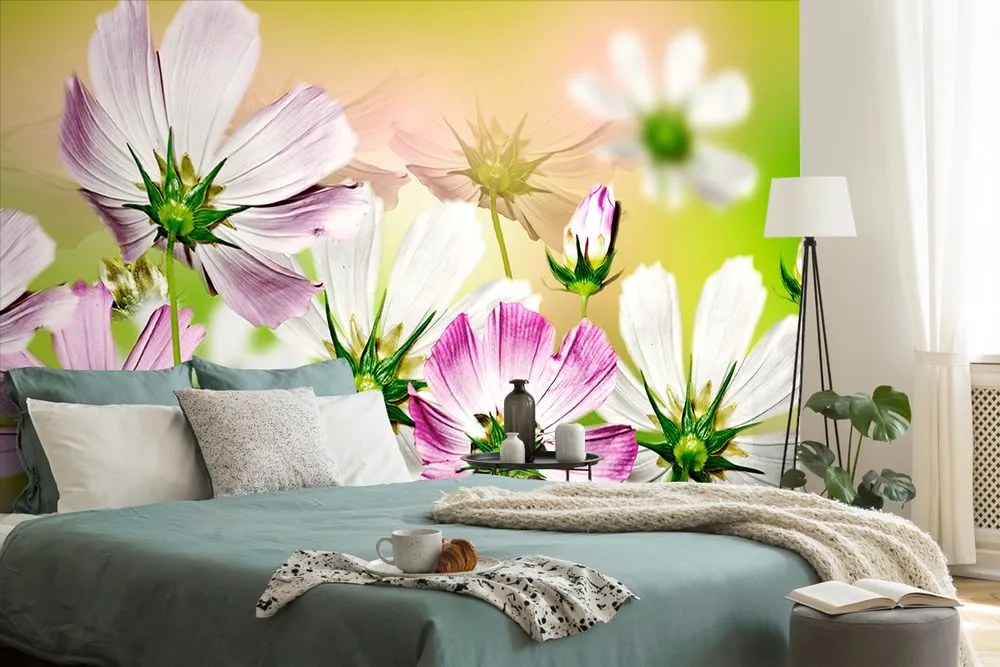 Carta da parati – Fiori da giardino