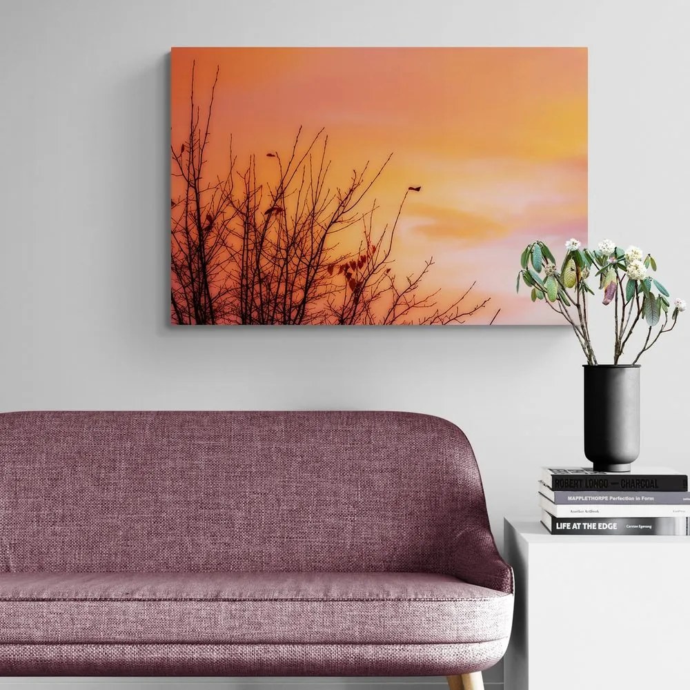 Quadro su tela – Cielo colorato