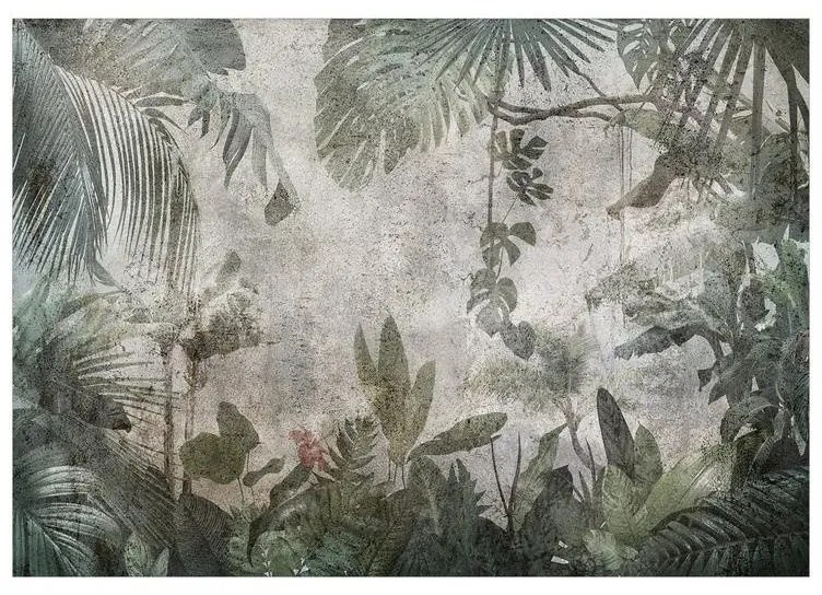 Fotomurale  Rain Forest in the Fog  Larghezza x Altezza Home decor 100x70