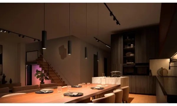 Philips - Lampadario LED RGB dimmerabile per binario Hue PERIFO LED RGB/5,2W/24V