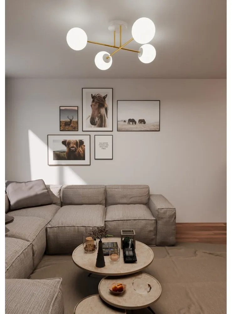 Lampadario da Soffitto MAGNUM 4 in Acciaio e Vetro 4xE14 Colore del corpo Bianco e Oro
