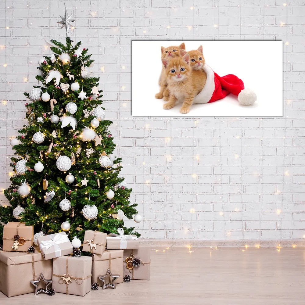 Quadro acrilico Gatti Babbo Natale 120x60 cm