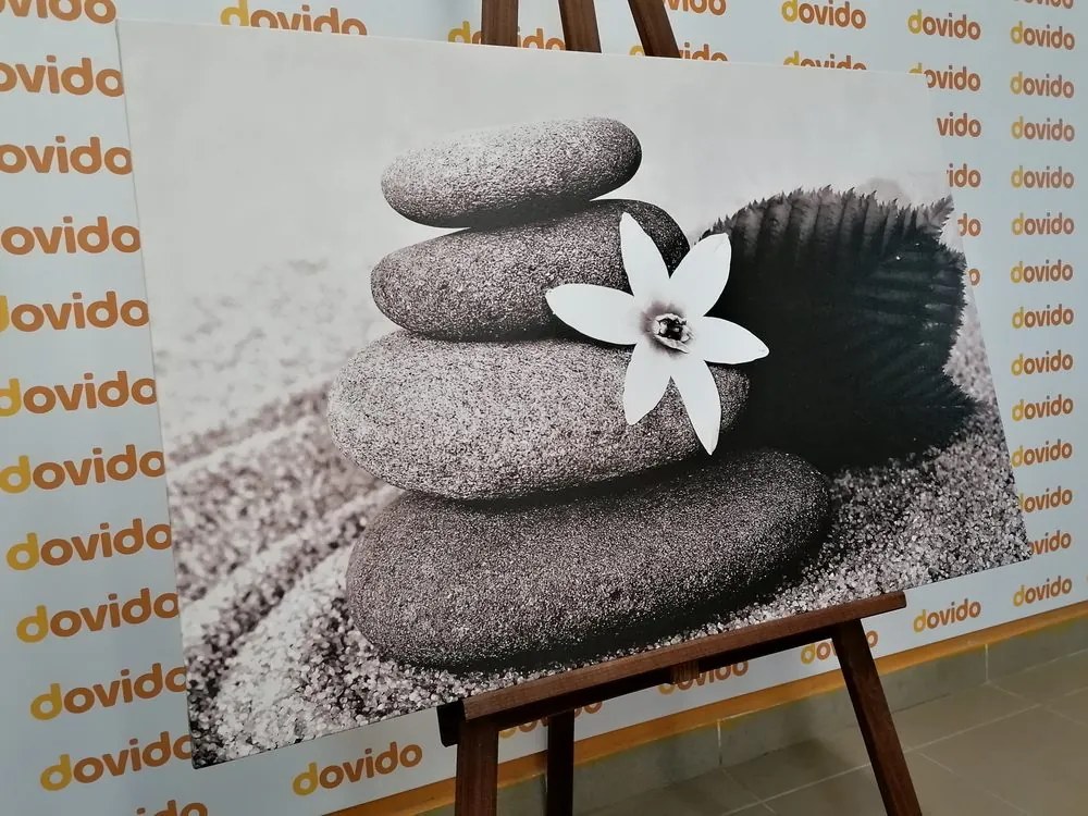 Stampa su tela – Fiore e pietre nella sabbia in bianco e nero