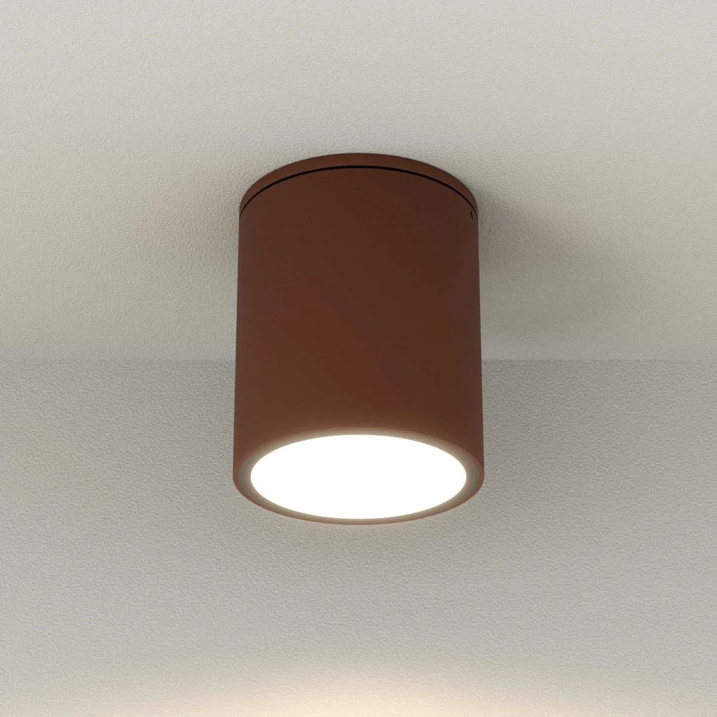 Applique da soffitto Cilindrica PAR30 IP54 in Alluminio e Vetro - Corten