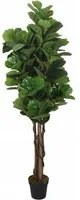 Albero Ficus Lyrata 232 Foglie 180 cm Verde 359014