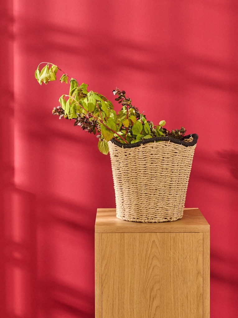 Sinsay - Cesto intrecciato per la conservazione - beige