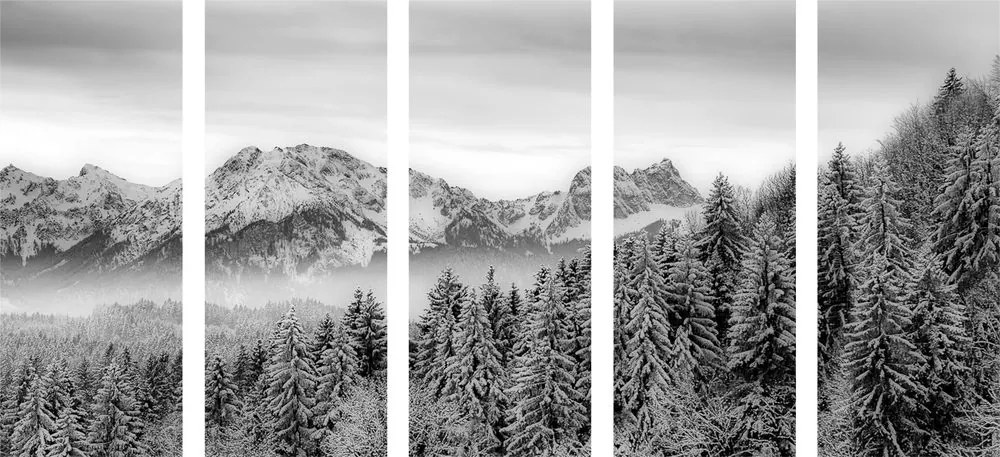 Quadri 5 pezzi – Montagne congelate in bianco e nero
