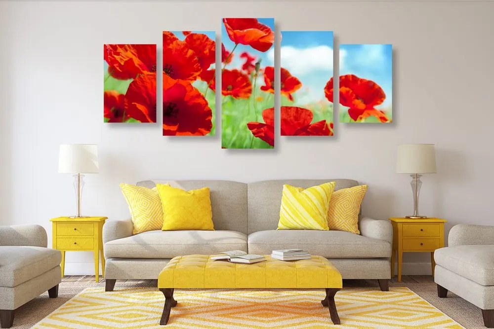 Quadri 5 pezzi – Fiori di papavero nel prato