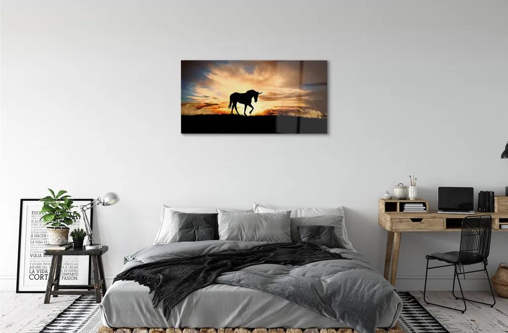 Quadro su vetro acrilico Sunset unicorno 100x50 cm