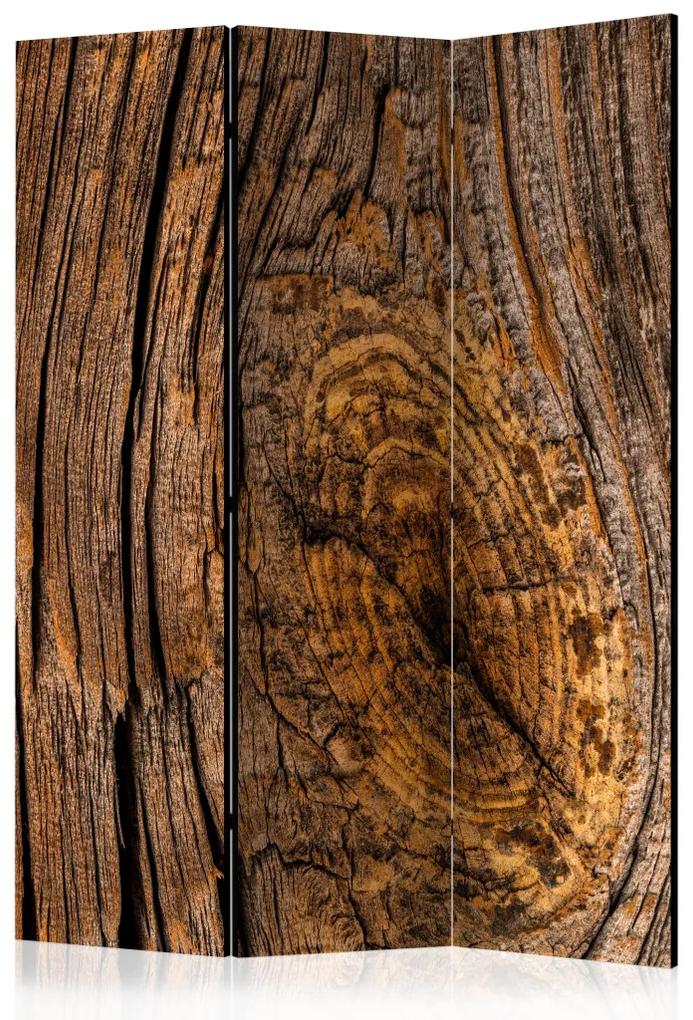 Paravento Albero Antico (3-parti) - composizione marrone con texture di legno