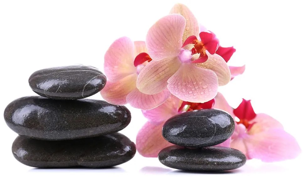 Carta da parati – Pietre e orchidea