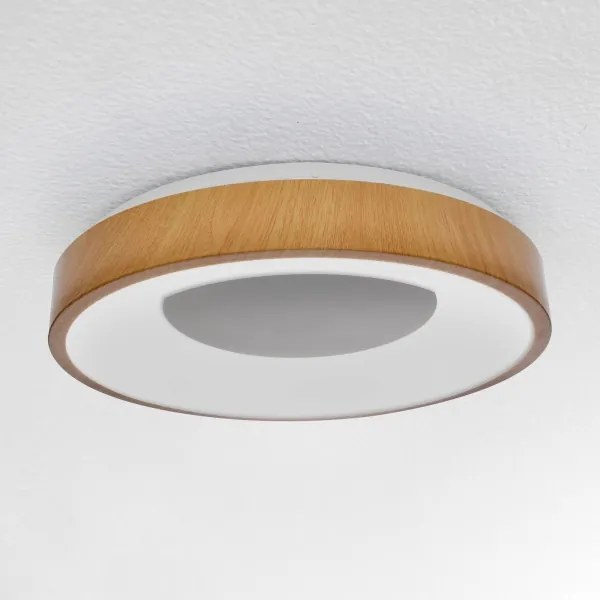 Brilagi - Lampada LED da soffitto dimmerabile DORIA LED/48W/230V 3000-6500K + DO