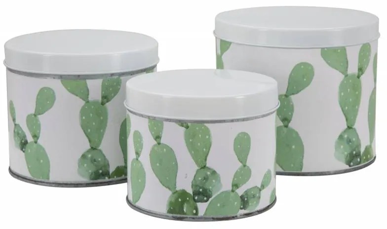 Cofanetti In Latta Cactus Set 3 Pz Cm   15X13,5-14X11,5-12,5X10