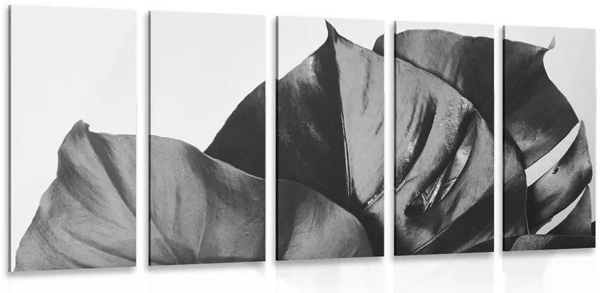 Quadri 5 pezzi – Foglia di monstera in bianco e nero