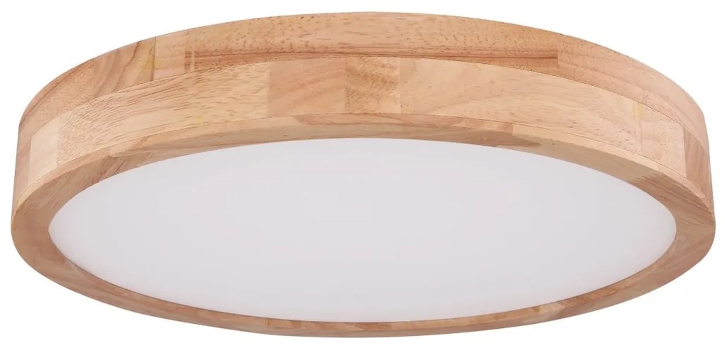 Globo 41745-24 - Plafoniera LED Dimming RAINER LED/24W/230V + TC