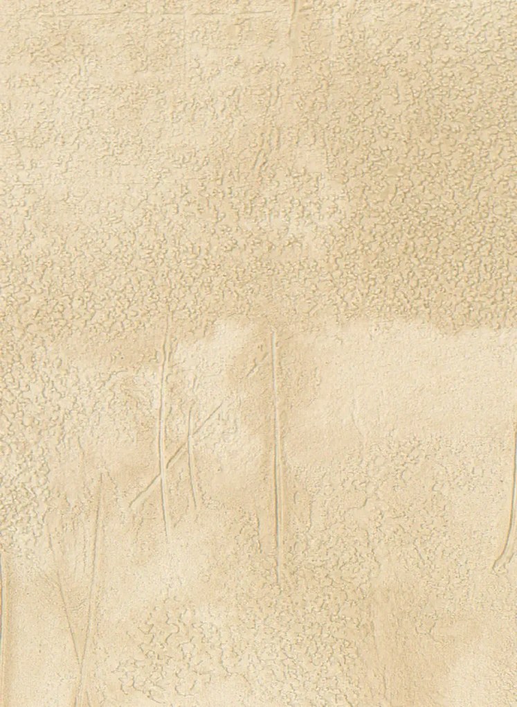 Élitis Carta da parati Agrigente - VP 960 14