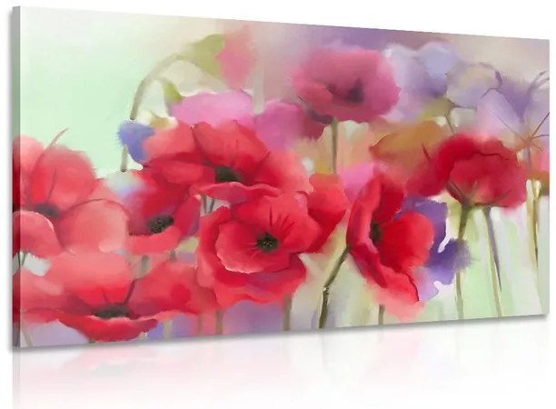 Quadro su tela – Splendidi papaveri disegnati