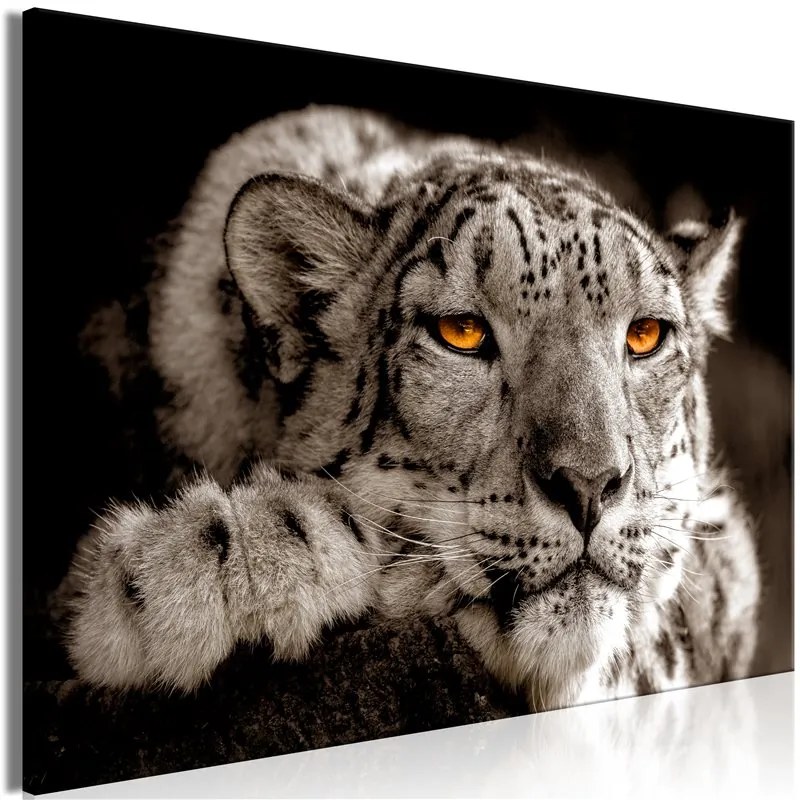 Quadro  Magic Eyes (1 Part) Wide  Colore Arancione, Dimensioni e Misure 90x60