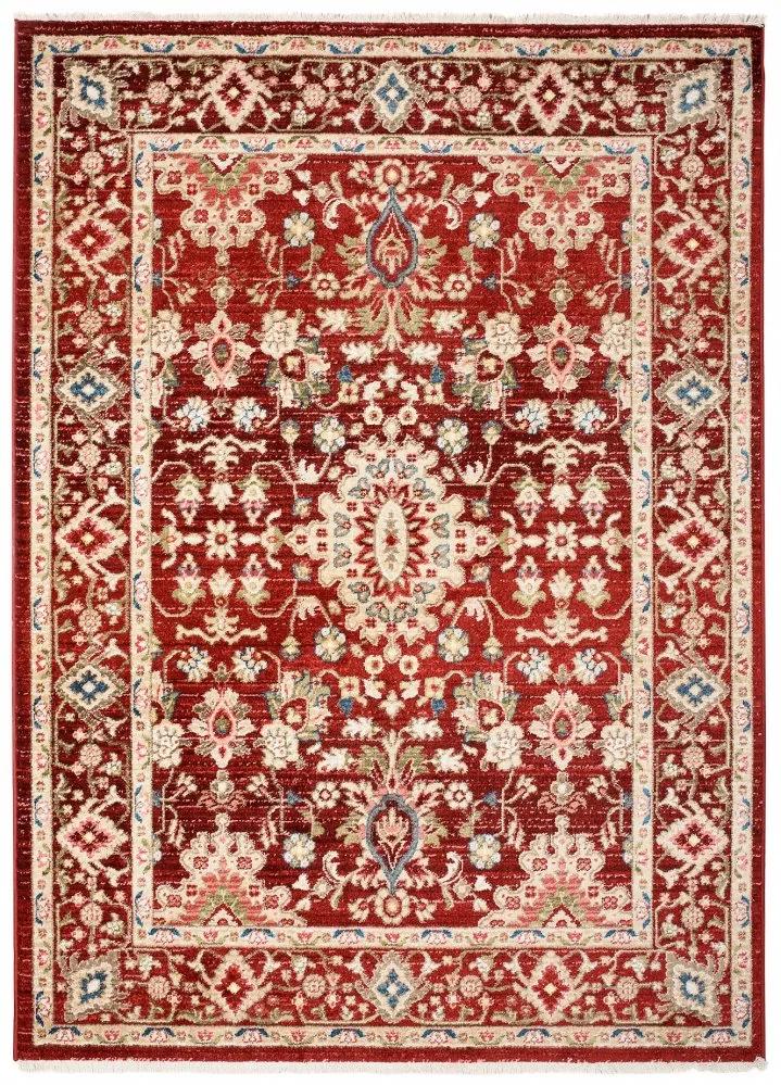 Elegante tappeto rosso Šírka: 200 cm | Dĺžka: 305 cm