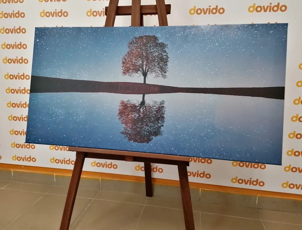 Stampa su tela – Cielo stellato sopra un albero solitario