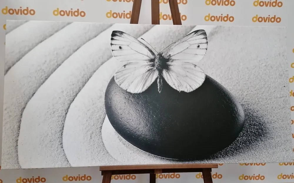 Quadro su tela – Pietra Zen con farfalla in bianco e nero