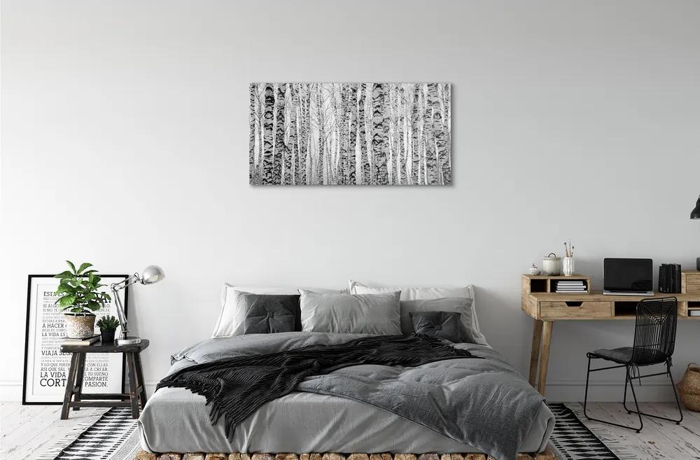 Quadro acrilico Betulle in bianco e nero 100x50 cm